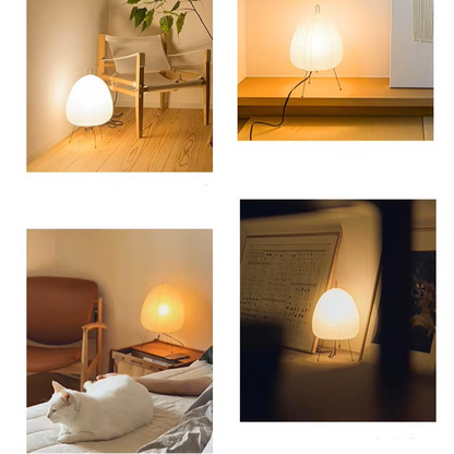 Bookshelf Display Washi Paper Accent Light adding Warm Architectural Depth